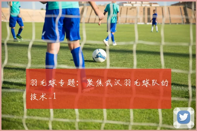 羽毛球专题：聚焦武汉羽毛球队的技术_1