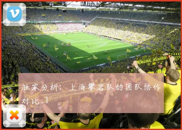 独家分析：上海攀岩队的团队协作对比_1